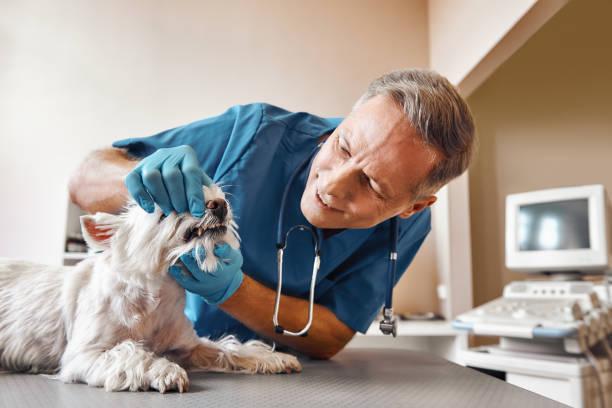 Best Emergency Dental Surgery in Newtown, OH